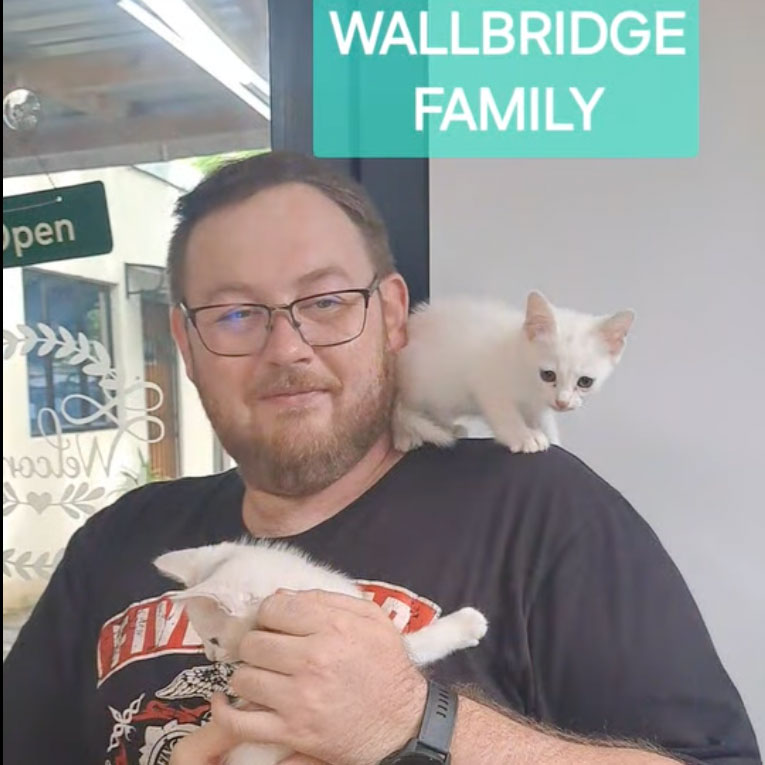 adoption2