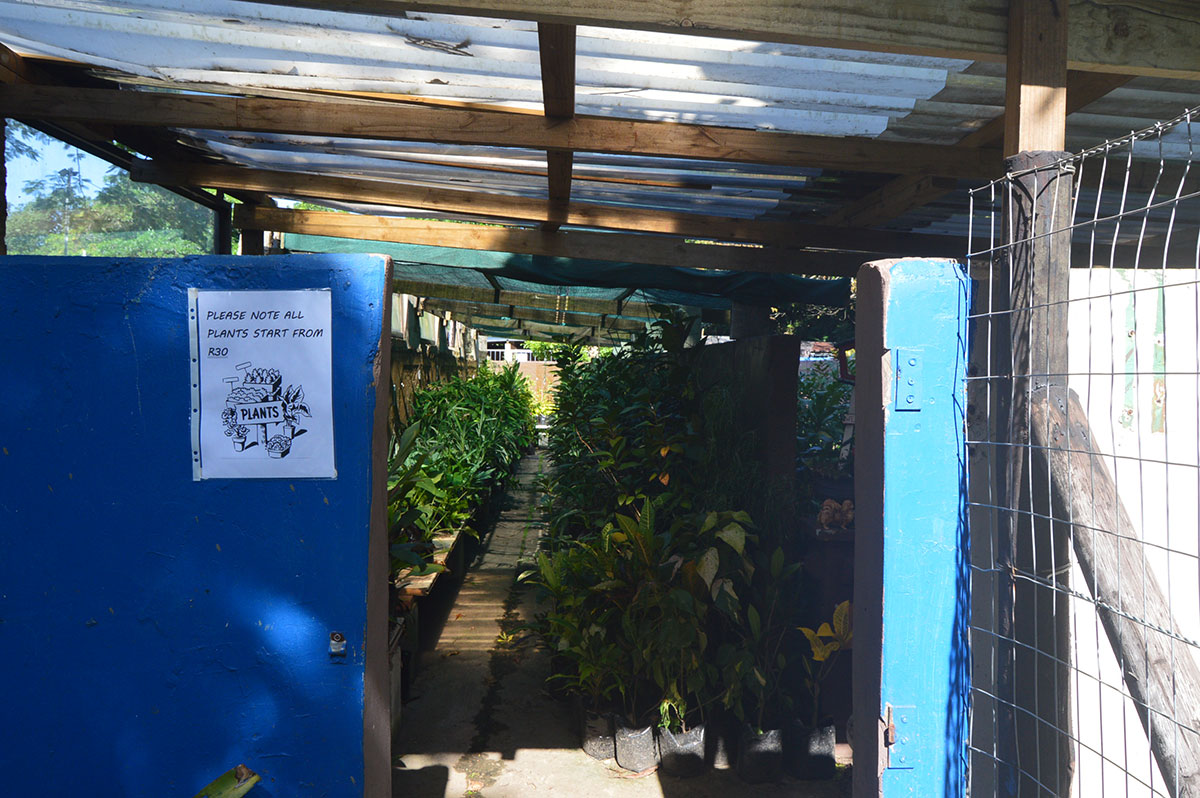 nursary-spca-rbay-1