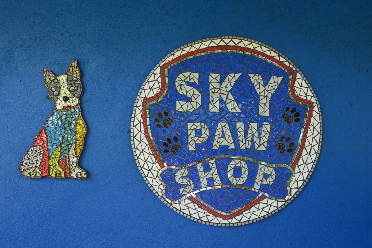 sky-shop-spca-rbay-cover